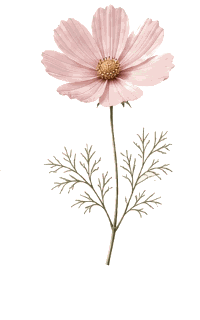 Cosmos